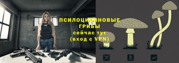хмурый Козельск