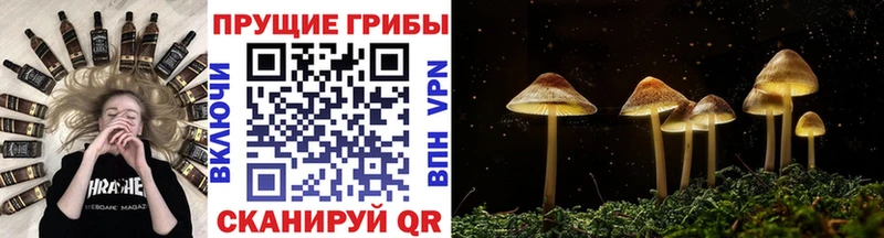 Галлюциногенные грибы MAGIC MUSHROOMS  Купить где  Павловский Посад 